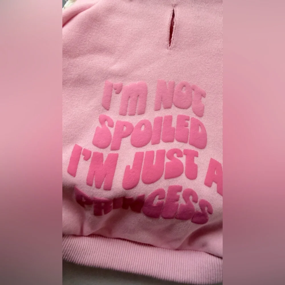 pink hooded pet sweatshirt text 